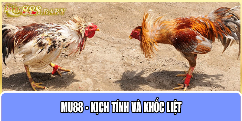 MU88 - Kịch tính và khốc liệt