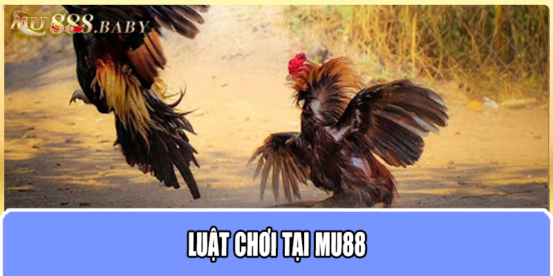 Luật chơi tại MU88