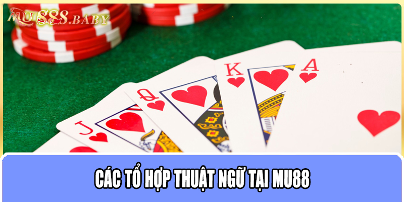 Các tổ hợp thuật ngữ tại MU88