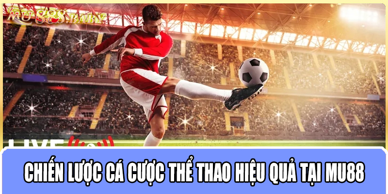 Chiến lược cá cược thể thao hiệu quả tại MU88