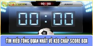 Tìm hiểu tổng quan nhất về kèo chấp score box MU88