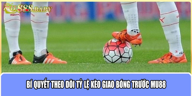 Bí quyết theo dõi tỷ lệ kèo giao bóng trước MU88