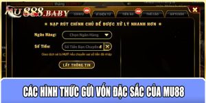 Các hình thức gửi vốn đặc sắc của MU88