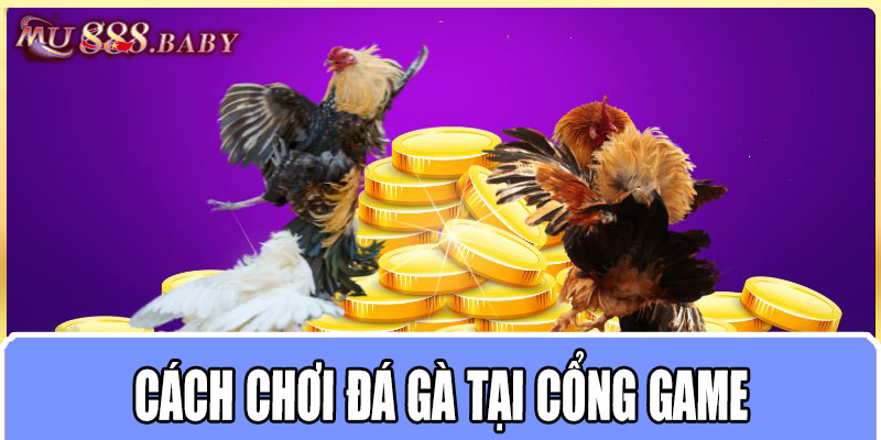 Cách chơi đá gà tại cổng game