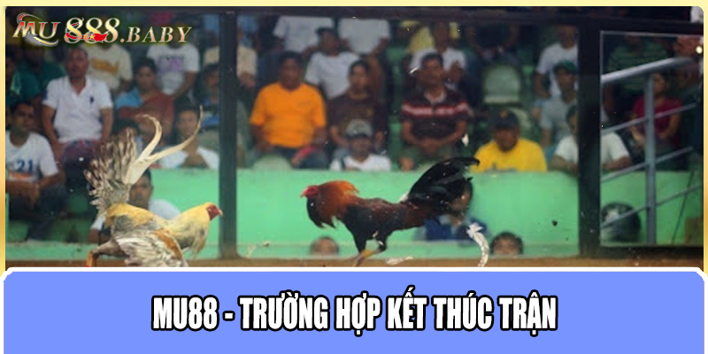 MU88 - Trường hợp kết thúc trận